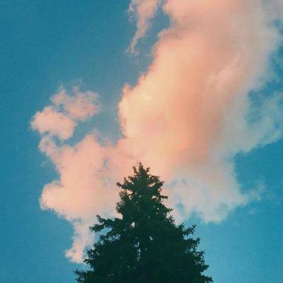 大发国际手机app下载截图