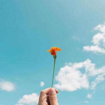 足球滚球的正规平台appapp下载截图